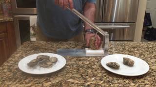 Shucking Oysters with Easy to Use Oyster Shucker [upl. by Cyn]