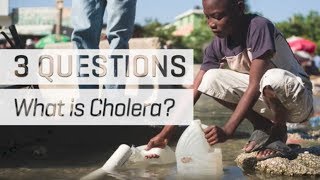 What is Cholera [upl. by Veradi822]