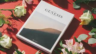 Genesis Chapter 39 Joseph and Potiphars Wife [upl. by Ydde]