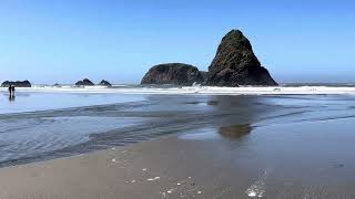 Whalehead Beach Oregon June 7 2024 [upl. by Sinegold]