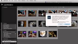 How to Optimize Lightroom Catalog [upl. by Jesselyn707]