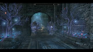 Archmage Quarters  Skyrim Special Edition House Mod [upl. by Anilah]