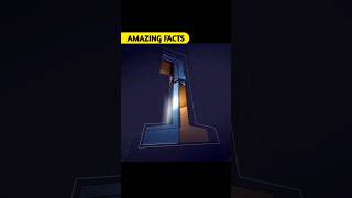 Most Amazing fact facts education [upl. by Sherj]