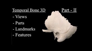 Temporal Bone Anatomy 3D Part 2 Features  Landmarks and Osteology of Tympanic Petrous amp Styloid [upl. by Erdreid21]