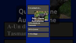 Mini quiz  Faune australienne [upl. by Arodnap]