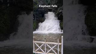 Elephant waterfall Meghalayawaterfallmeghalaya [upl. by Petersen]