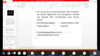 cours biochimie métabolique partie 5cycle de lurée et métabolisme des acides aminés et nucléiques [upl. by Rozella]