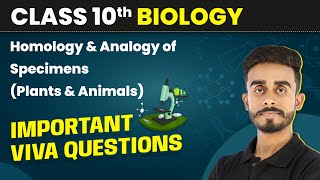 Homology amp Analogy of Specimens Plants amp Animals Important Viva Ques  Class 10 Biology Practical [upl. by Janis]