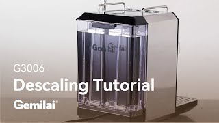 Owl G3006 Espresso Machine  Descaling Tutorial  Gemilai [upl. by Eicaj]