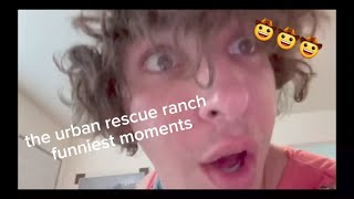 the urban rescue ranch funniest moments pt1theurbanrescueranch [upl. by Aed]