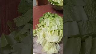 CuttingUp Romaine Lettuce  cuttingup romaine lettuce Imelda Ingram USA [upl. by Yderf]