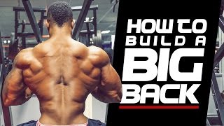 HOW TO BUILD A BIG BACK  Simeon Panda amp Andrew Grossett [upl. by Stokes]