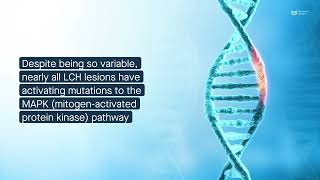 Kinaseactivating mutations in Langerhans cell histiocytosis [upl. by Kobylak]