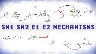 SN1 SN2 E1 E2 Reaction Mechanism Overview [upl. by Raina]