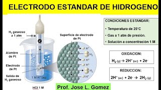 ELECTRODO ESTANDAR DE HIDROGENO Y POTENCIALES DE REDUCION [upl. by Ongun]