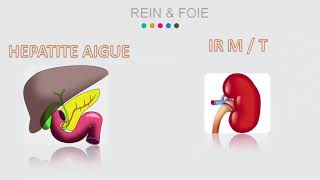 Contre indication des Antiinflammatoires en médecine dentaire [upl. by Nerrak]