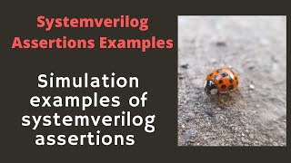 Systemverilog Assertions Examples  Realtime simulation [upl. by Yrhcaz]