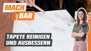 Tapete reinigen und ausbessern  OBI [upl. by Jdavie125]