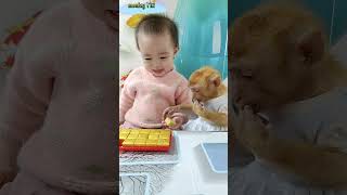 Monkey Titi was surprised to see baby Bear peeling a new cake monkeybaby cute shortsvideo [upl. by Melville9]