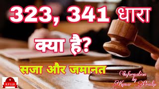 323 341 धारा क्या है सजा और जमानत What is Section 323 341 Punishment and bail [upl. by Einnaf161]