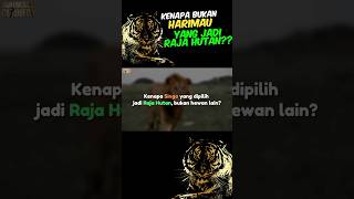 Harimau vs Singa shorts rajahutan apexpredator kucing [upl. by Chrissa]