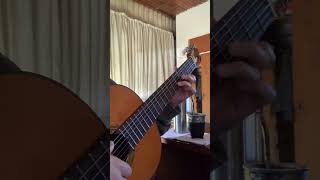 Piel morena intro guitarra folclore guarany chaqueñopalavecino tutorial musica [upl. by Alidus]