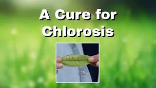 A Cure for Chlorosis [upl. by Olegnaed904]