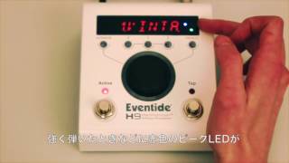 Eventide H9チュートリアル Vol4 レベルの設定 [upl. by Hurlow]