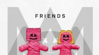 FRIENDS  Marshmello [upl. by Suhpesoj]