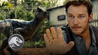 Jurassic World  Training Velociraptors [upl. by Gereron]