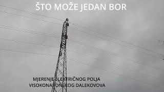 Što može jedan bor [upl. by Ahsirak365]