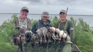 Green Creek Outfitter Big Water Duck Hunting on The Pamlico Sound [upl. by Claus]