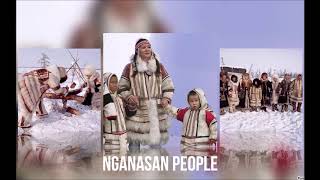 Nganasan people [upl. by Senecal460]