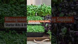 Microgreens Grower HQ  True Leaf Market Seed Company  What Our Customers Are Saying [upl. by Harlow]