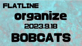 【FLATLINE ORGANIZE 2023】SC3「BOBCATS」 [upl. by Lien]