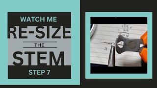 Step 7  Watch Me Resize my Stem [upl. by Brander733]