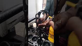 Head gasket fitting enginefixit mechanic repairing [upl. by Ellehcyt]