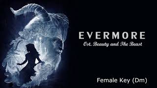 Evermore Karaoke female key [upl. by Irafat]