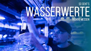 HOWTO Wasserwerte im Meerwasseraquarium richtig messen  Coralaxy [upl. by Nibuz473]