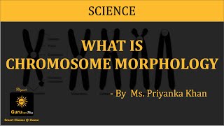 Chromosome Morphology BSc MSc Lecture by Ms Priyanka khan I Guru Kpo [upl. by Sirtimed26]