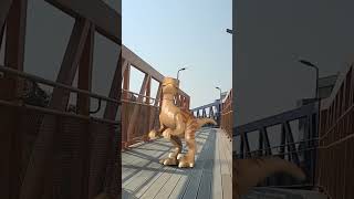 Lego Dinocovery nuevo avistamiento de Lego Velociraptor en ciclovia legodinocovery [upl. by Halludba819]