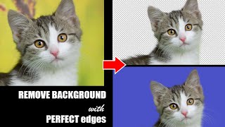 How to Remove Background with perfect edge in photoshop [upl. by Egwin23]