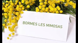 BORMES LES MIMOSAS  Création 2024 [upl. by Nehtanoj843]