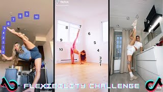 FLEXIBILITY Challenge TikTok [upl. by Ingamar655]