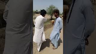 PARLIKH LETE TO 40 HAZAR MEHNA KAMATEWaitforendfunnyvideo funnyshort [upl. by Rici]