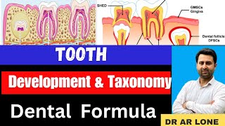 Tooth Development and Taxonomy  Growth  Types  Human Dentition  Dental FormulaBsc Zoology [upl. by Paulita]