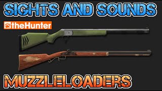 Sights and Sounds  MUZZLELOADERS  theHunter Classic [upl. by Ofilia972]