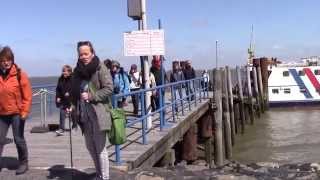 Besuch auf der Hallig Hooge [upl. by Garlan98]