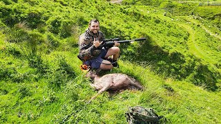 24 hrs in Whanganui NZ Hunting Fallow Deer amp Trout Fishing  Catch amp Cook 2024 HD [upl. by Lindsay]