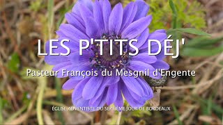 1030  Les Ptits déj spirituels  Pleurs et grincement de dents  Luc 132829 [upl. by Nimad]